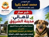 رئيس جهاز مدينة الشروق يعلن تخصيص أرض لأول شلتر لإيواء الكلاب الضالة