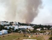 حرائق إزمير غرب تركيا تشتعل فى الغابات.. والطائرات تتدخل للسيطرة على النيران