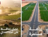 من 30 يونيو للدلتا الجديدة.. اليوم السابع توثق بالـ AI ملحمة الأمن الغذائي بمصر