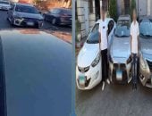 الداخلية تضبط المتهمين بالاستعراض بسيارات بموكب الزفاف بالبحيرة.. فيديو