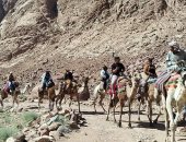  418 سائحا وزائرا من جنسيات مختلفة لزيارة دير سانت كاترين