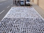 الداخلية تضبط 2 طن مخدرات فى السويس بقيمة 125 مليون جنيه