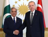 أردوغان: يجب عدم السماح لحكومة نتنياهو بنشر رائحة البارود والدماء بمنطقتنا