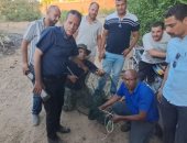 لحظة الإمساك بتمساح شبرامنت فى الجيزة بعد يومين من البحث.. فيديو