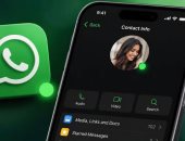 ميزة جديدة فى واتساب تكشف جهات الاتصال «الأونلاين» حاليًا على iOS