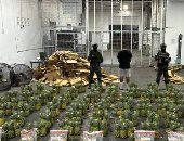 صفقات كوكايين غامضة بين ثمار الفاكهة وأخشاب الأمازون ولعب الأطفال بأمريكا اللاتينية.. قصة العصابات الأكثر جرأة فى تهريب المخدرات من الكاريبى لأفغانستان عبر أوروبا وإسبانيا.. واستغلال القهوة والشوكولاتة للتهريب
