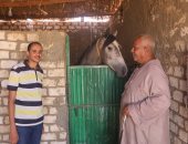 من الإسطبل إلى المرماح.. العمدة مكرم وحكاية عشق لا ينتهى مع الخيول.. يروى قصص عادات متوارثة منذ 200 عام عن سباقات الفروسية فى جنوب الصعيد.. ويؤكد: أحصنة بـ1.5 مليون جنيه تشعل المنافسة بأسوان.. صور