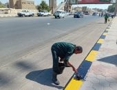 رفع كفاءة النظافة ودهان البلدورات بمدخل البوابة الأولى بحدائق الأهرام.. صور