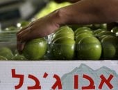 البرلمان الإيرلندي يقر قانوناً يحظر استيراد بضائع المستوطنات الإسرائيلية