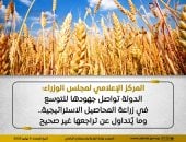 مجلس الوزراء: الدولة تواصل جهودها للتوسع في زراعة المحاصيل الاستراتيجية