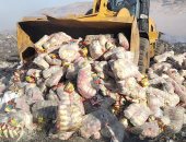 محافظ سوهاج: إعدام 39 طن أرز وسكر فاسد بالجبل الغربى