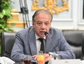 انتخاب الدكتور شريف الجبلي نائبا لرئيس مجلس أعمال الكوميسا للفترة 2026–2028
