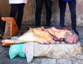 ضبط 2.6 طن لحوم ودواجن مجهولة المصدر في حملات تموينية بالمنوفية