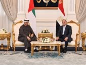 الرئيس السيسى والشيخ محمد بن زايد يبحثان مستجدان الشرق الأوسط وجهود تجنب التصعيد