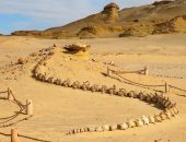 6 معلومات عن محمية وادى الحيتان بالفيوم.. كنز طبيعى عمره 40 مليون سنة