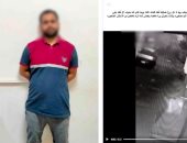 ضبط شخص ضرب قطة حتى نفوقها بالغربية لتخويف طفلته
