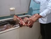 ضبط 1100 كيلو لحوم فاسدة قبل بيعها بالأسواق بمركز المنشأة فى سوهاج