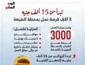 إنفوجراف.. 3000 فرصة عمل بمحطة الضبعة النووية بمرتبات تبدأ من 15 ألف جنيه
