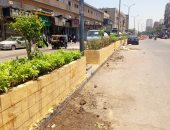 لتحسين الصورة البصرية.. زراعة الجزيرة الوسطى بشارع العامل الأول فى إمبابة.. صور