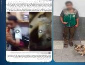 الداخلية تضبط المتهم بتوثيق كلب وضربه فى القاهرة.. فيديو