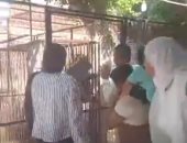 غزالان وقرود ونعام وصقور بحديقة الأسرة والطفولة فى كفر الشيخ.. فيديو