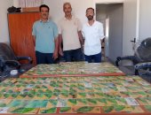 الغربية تضبط 2.5 طن دقيق مدعم و492 بطاقة تموينية مجمعة بالمخالفة