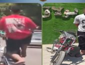 ضبط سائق دراجة نارية لا يحمل رخص لاستعراضه بشوارع القاهرة..فيديو