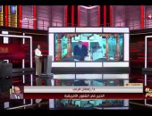 خبير لـ الحياة اليوم: زيارة الرئيس السيسي لتنزانيا تعزز الشراكة الاستراتيجية