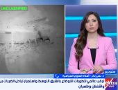 أستاذ علوم سياسية: اتفاق التفاهم بين إيران وأمريكا ينهار وأزمة هرمز تهدد العالم