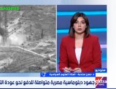 أستاذ علوم سياسية: التصعيد العسكرى يقضى على فرص التفاوض بين واشنطن وطهران