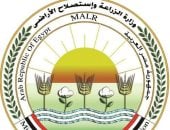 "الزراعة" ترد على فيديو زيادة وزن الموز: ادعاءات غير علمية تثير البلبلة