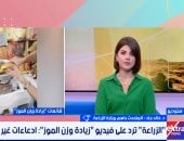 بعد الفيديو المتداول.. متحدث الزراعة يكشف حقيقة زيادة وزن الموز 80٪ بعد الحصاد