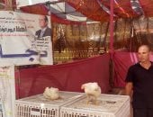 لحوم سلع بأسعار مخفضة.. إقبال على سوق اليوم الواحد للسلع الغذائية في زفتى