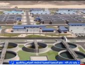 خبير: تنوع الاقتصاد المصري عزز قدرته على مواجهة الصدمات