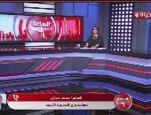 السفير محمد حجازي يحلل أبعاد تحركات الدبلوماسية الرئاسية في أفريقيا وأوروبا