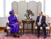 وزير الخارجية يبحث مع نظيرته الموزمبيقية سبل تعزيز العلاقات الثنائية 