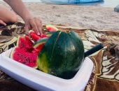 "الذهب الأحمر".. شاهد محصول البطيخ البلدي في شمال سيناء.. صور
