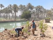 تشجير طريق 6 أكتوبر بأبو النمرس.. زراعة 100 شجرة ضمن خطة التجميل