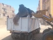 جمع وتدوير مخلفات البناء والهدم.. ضوابط قانونية تنظم التخلص منها