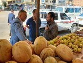 الكنتالوب بـ25 جنيها.. أسعار الخضار والفاكهة بالوادى الجديد اليوم السبت