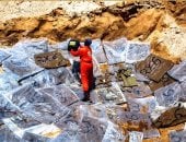 ميناء مصراتة الليبي يصادر أكثر من 5 أطنان حشيش بالمنطقة الحرة
