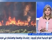 حزب البيئة العالمى: الحروب والتخلص العشوائى من النفايات يزيد من معدلات الحرائق