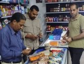 ضبط ربع طن دواجن غير صالحة للاستهلاك الآدمى فى المنوفية