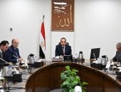 الحكومة: تحويل مصر إلى مركز إقليمى لصناعة الكتان بحلول عام 2030