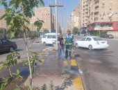 رفع مستوى النظافة بشارع ترسا وزراعة الجزيرة الوسطى بـ"العامل الأول" بالجيزة