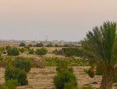 أجواء معتدلة بشمال سيناء اليوم الاثنين.. الحرارة 32 درجة بوسط المحافظة