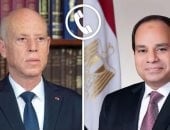 الرئيس السيسى يحذر من التداعيات السلبية فى حالة الانزلاق مجددا للتصعيد الشامل