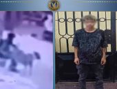 الداخلية تضبط المتهم بالتعدي على كلب في المنوفية