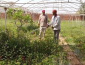 من مصيف موسمى إلى وجهة سياحية واعدة.. كيف أعادت الدقهلية الحياة إلى جمصة "صور"