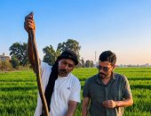 لحظة صيد أضخم كوبرا من داخل جحرها.. سر هجوم الأفاعى القاتلة 